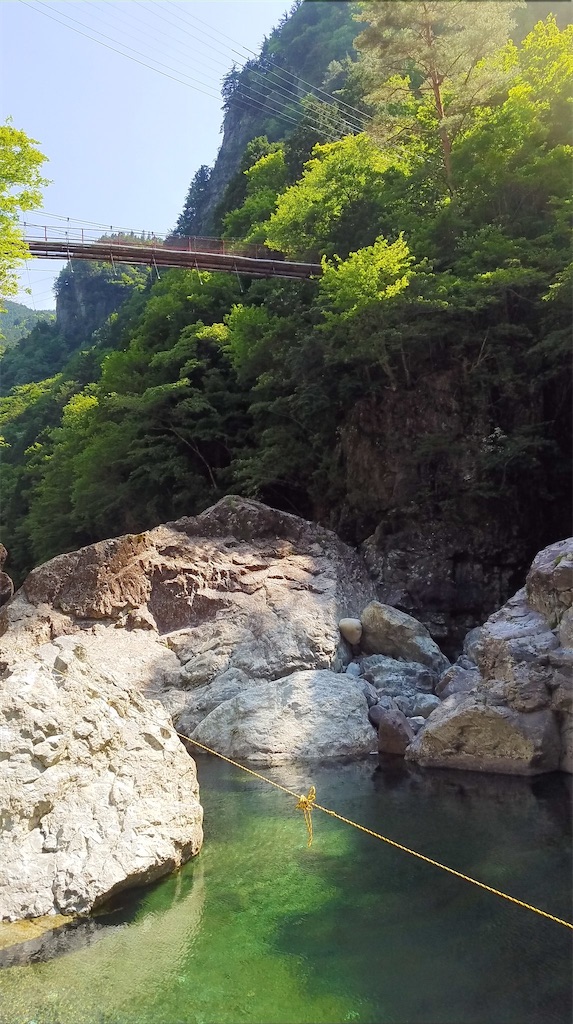 f:id:hukunekox:20210726151020j:image f:id:hukunekox:20210726151020j:image