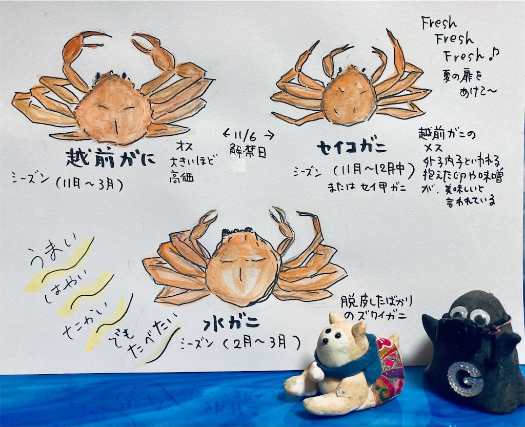 f:id:hukunekox:20210810093228j:image f:id:hukunekox:20210810093228j:image