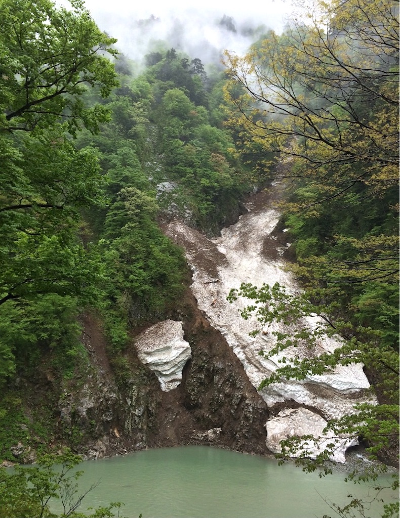 f:id:hukunekox:20210826112840j:image