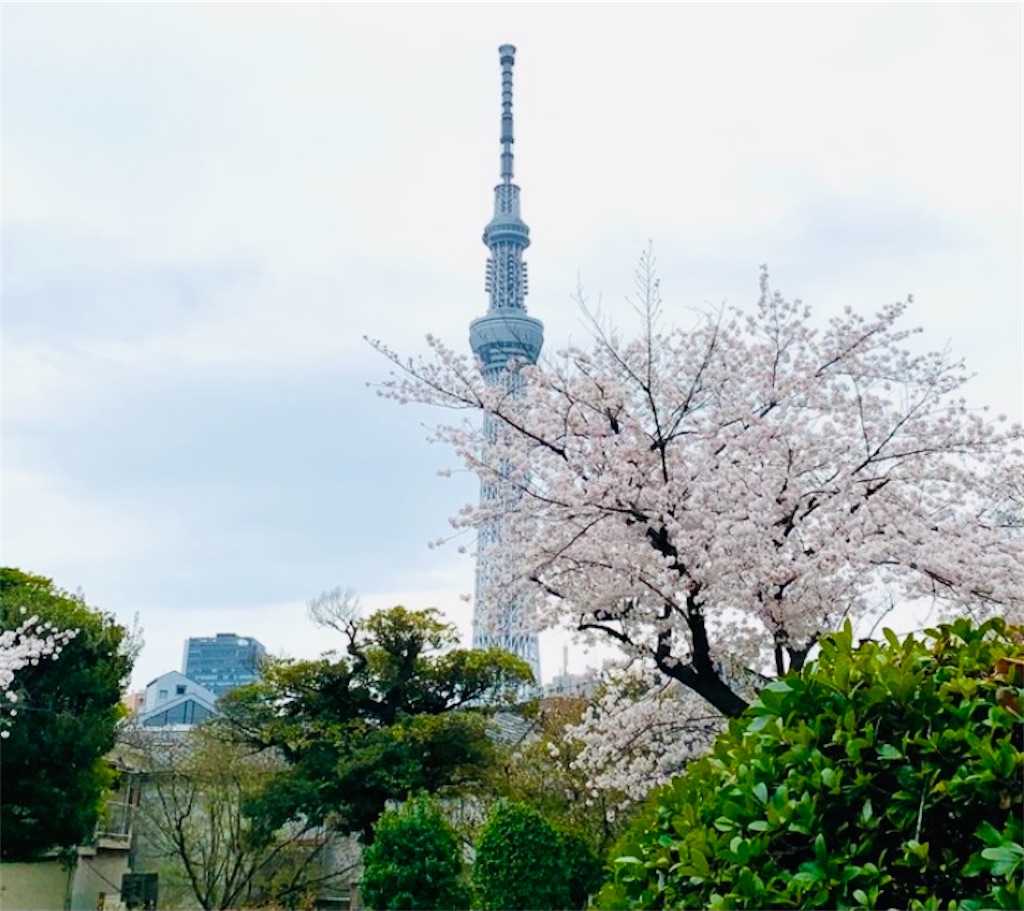 f:id:hukunekox:20211119233529j:image f:id:hukunekox:20211119233529j:image