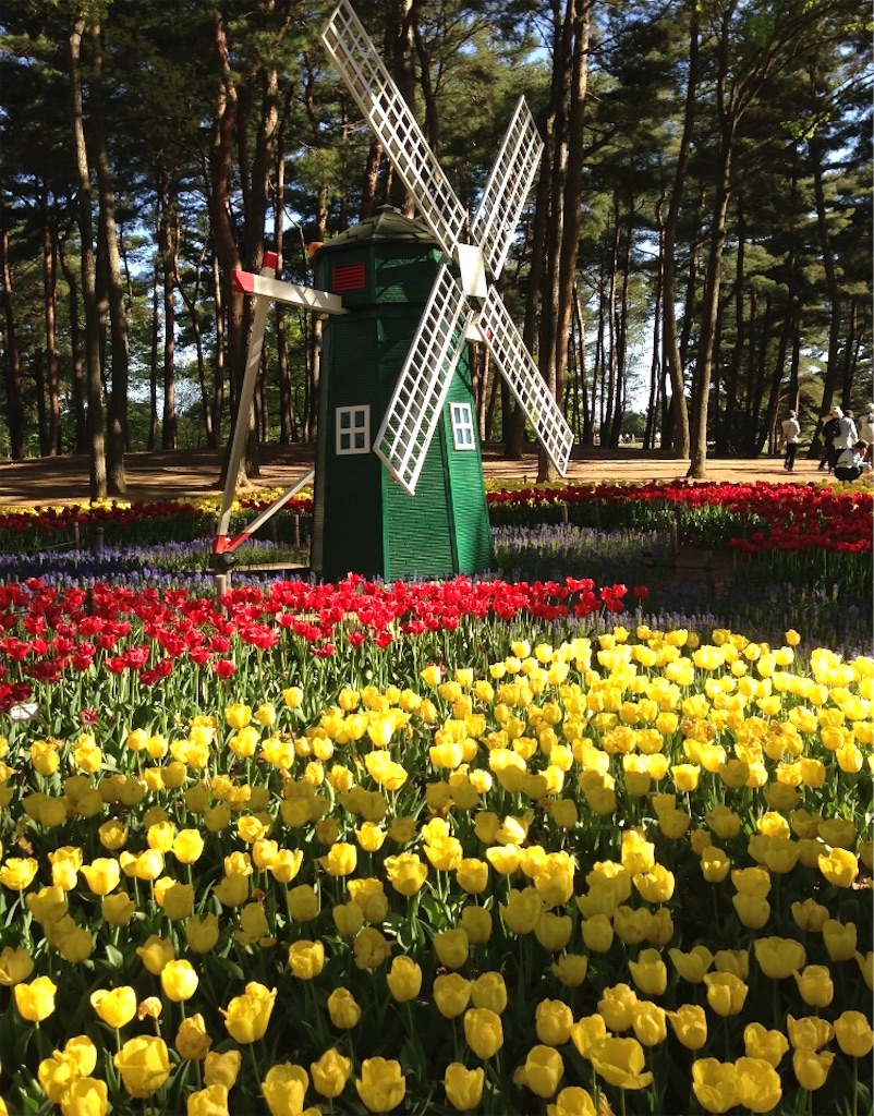 f:id:hukunekox:20211203214205j:image f:id:hukunekox:20211203214205j:image