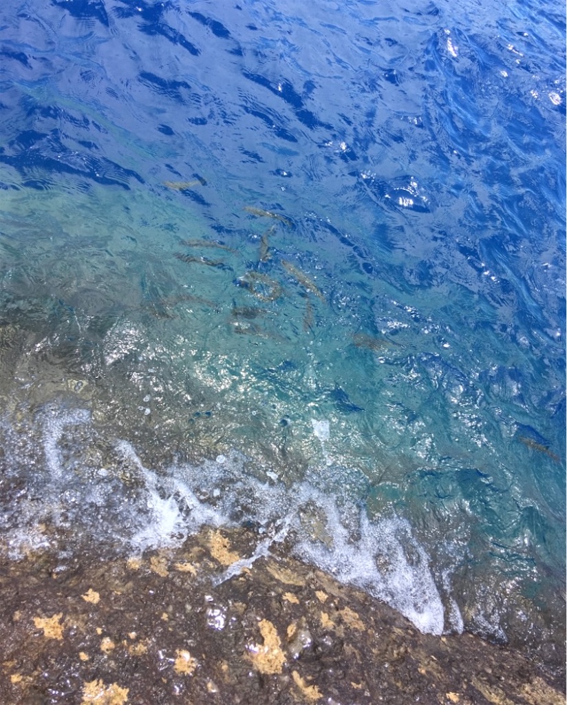 f:id:hukunekox:20220127065406j:image