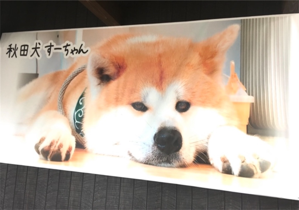 f:id:hukunekox:20220127135918j:image