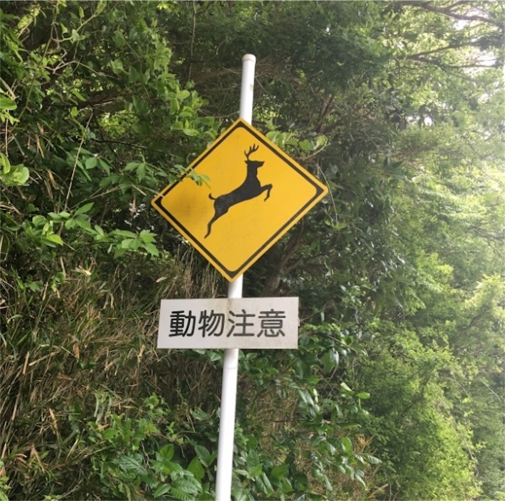 f:id:hukunekox:20220221010623j:image f:id:hukunekox:20220221010623j:image