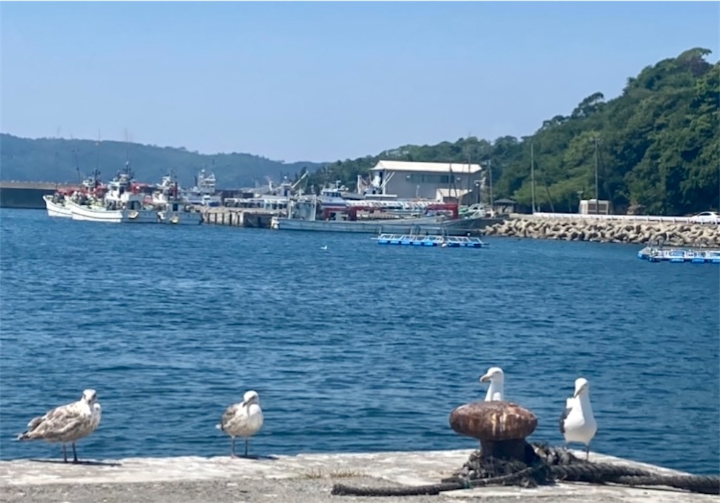 f:id:hukunekox:20220221024245j:image f:id:hukunekox:20220221024245j:image