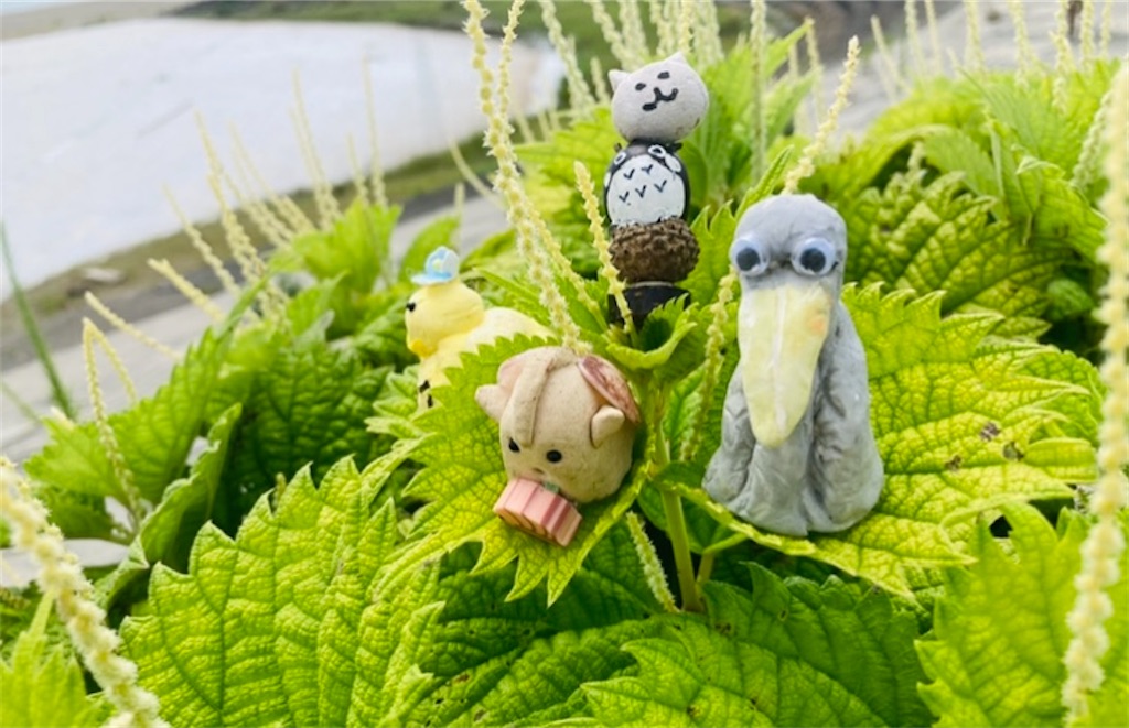 f:id:hukunekox:20220221142350j:image f:id:hukunekox:20220221142350j:image