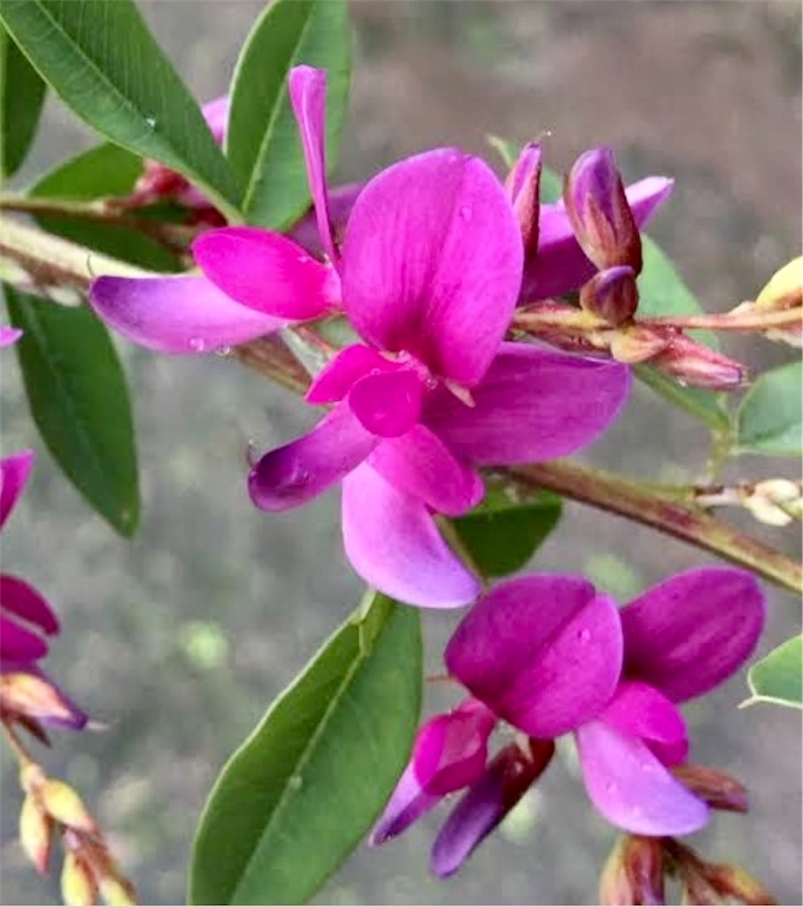 f:id:hukunekox:20220224211636j:image f:id:hukunekox:20220224211636j:image