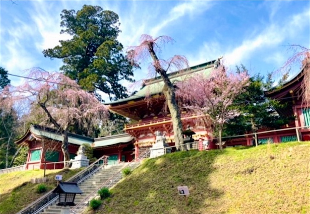 f:id:hukunekox:20220226063013j:image f:id:hukunekox:20220226063013j:image