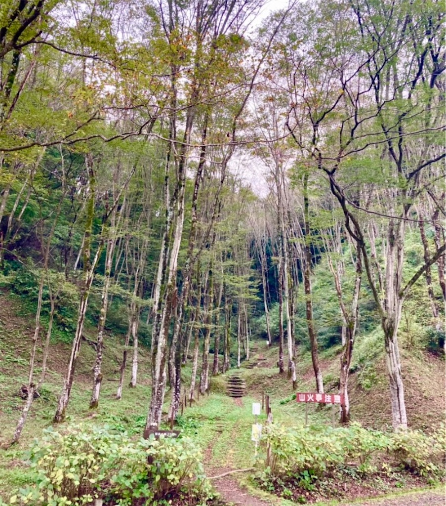 f:id:hukunekox:20220226065315j:image f:id:hukunekox:20220226065315j:image