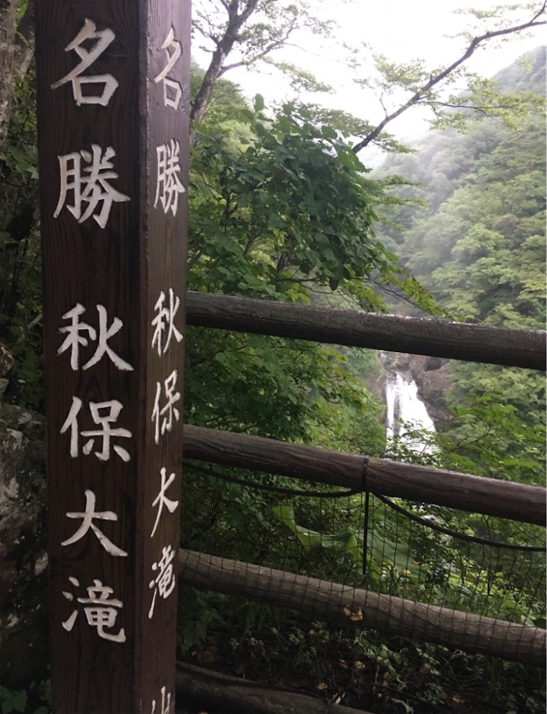 f:id:hukunekox:20220226190018j:image f:id:hukunekox:20220226190018j:image