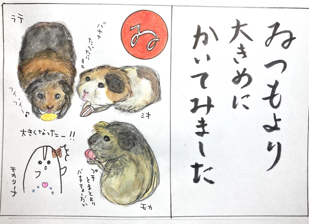 f:id:hukunekox:20220317012936j:image f:id:hukunekox:20220317012936j:image
