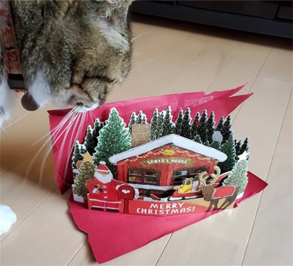 f:id:hukunekox:20221223235059j:image f:id:hukunekox:20221223235059j:image