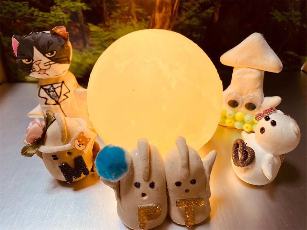 f:id:hukunekox:20230321200506j:image