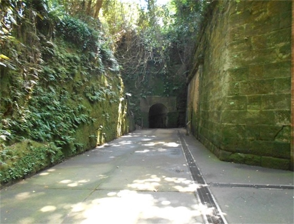 f:id:hukunekox:20240112184950j:image f:id:hukunekox:20240112184950j:image