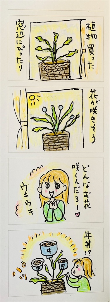 f:id:hukunekox:20250204100930j:image f:id:hukunekox:20250204100930j:image