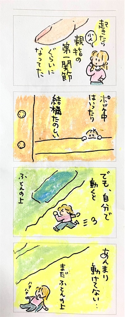f:id:hukunekox:20250310180431j:image