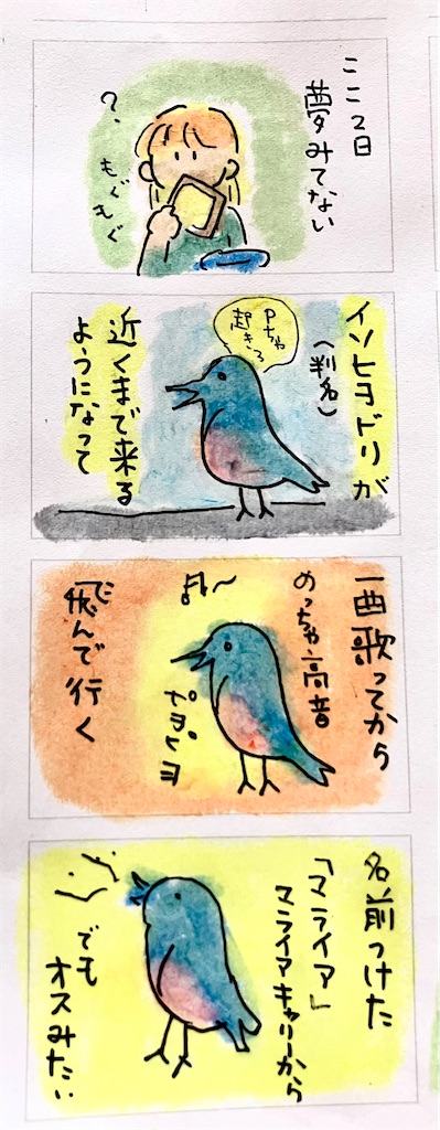 f:id:hukunekox:20250528115000j:image