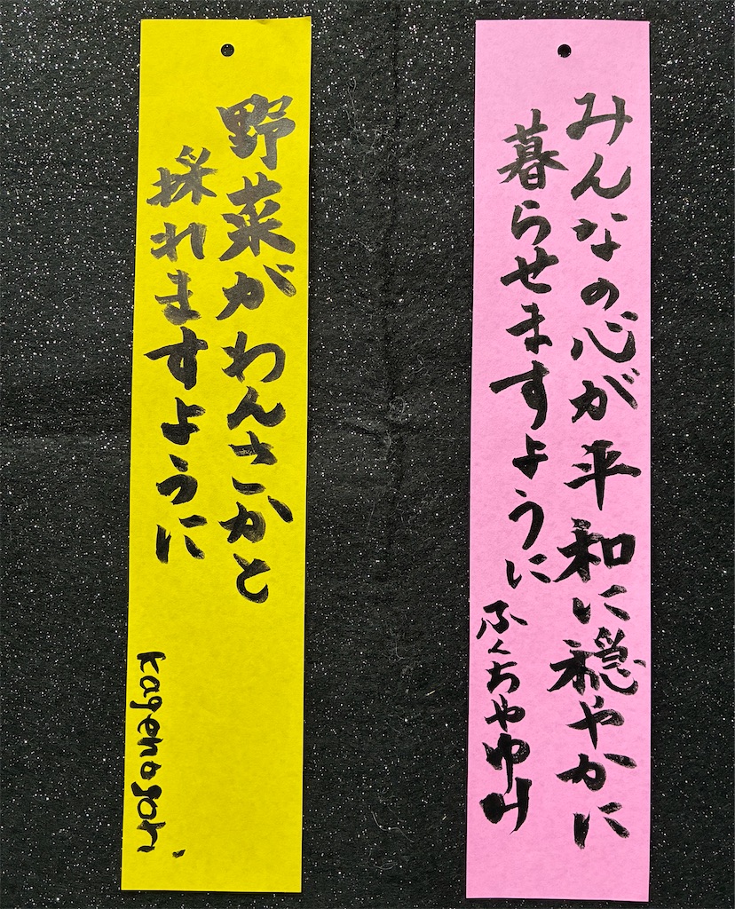 f:id:hukunekox:20260802002851j:image