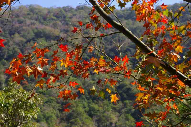 f:id:hukuote:20140115132431j:image:w640