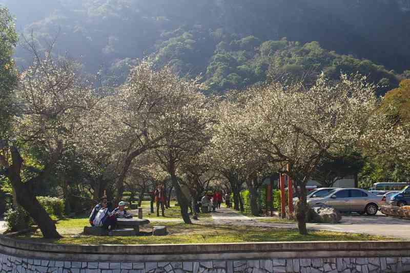 f:id:hukuote:20140115133030j:image:w640
