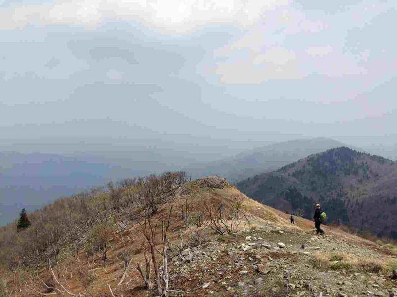 f:id:hukuote:20140506001017j:image:w640