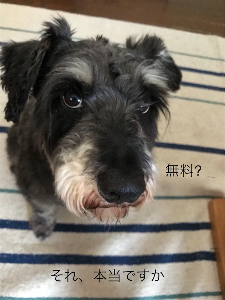 f:id:hukusuke39:20180914211132j:image