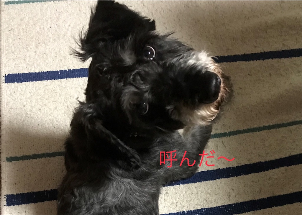 f:id:hukusuke39:20180915205740j:image