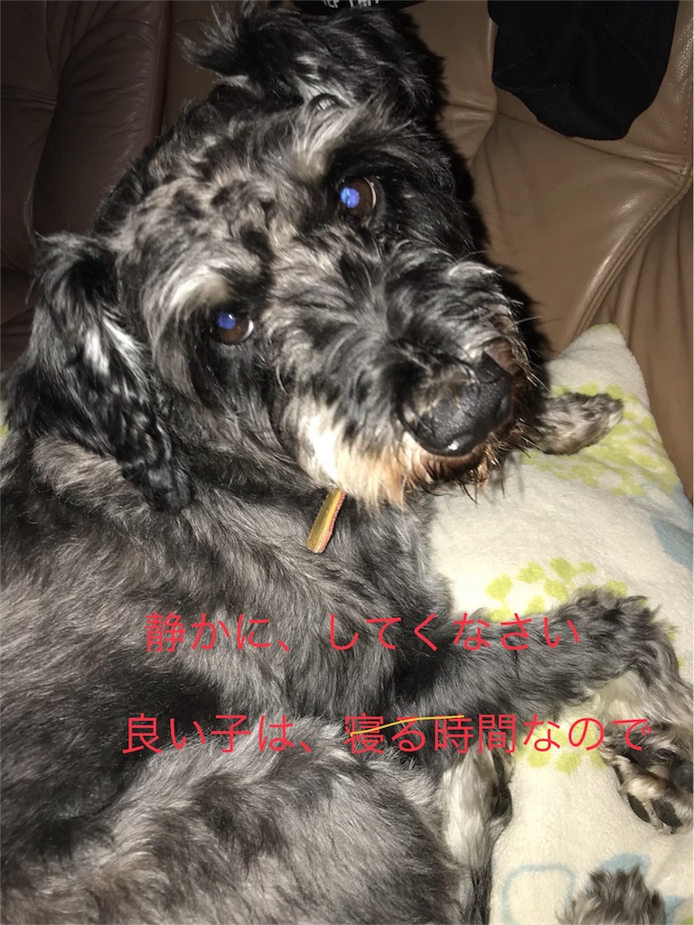 f:id:hukusuke39:20180917120725j:image