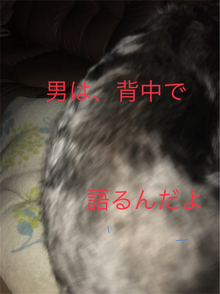 f:id:hukusuke39:20180918202508j:image