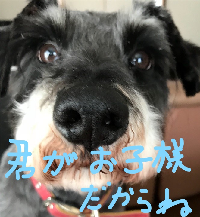 f:id:hukusuke39:20180919090328j:plain