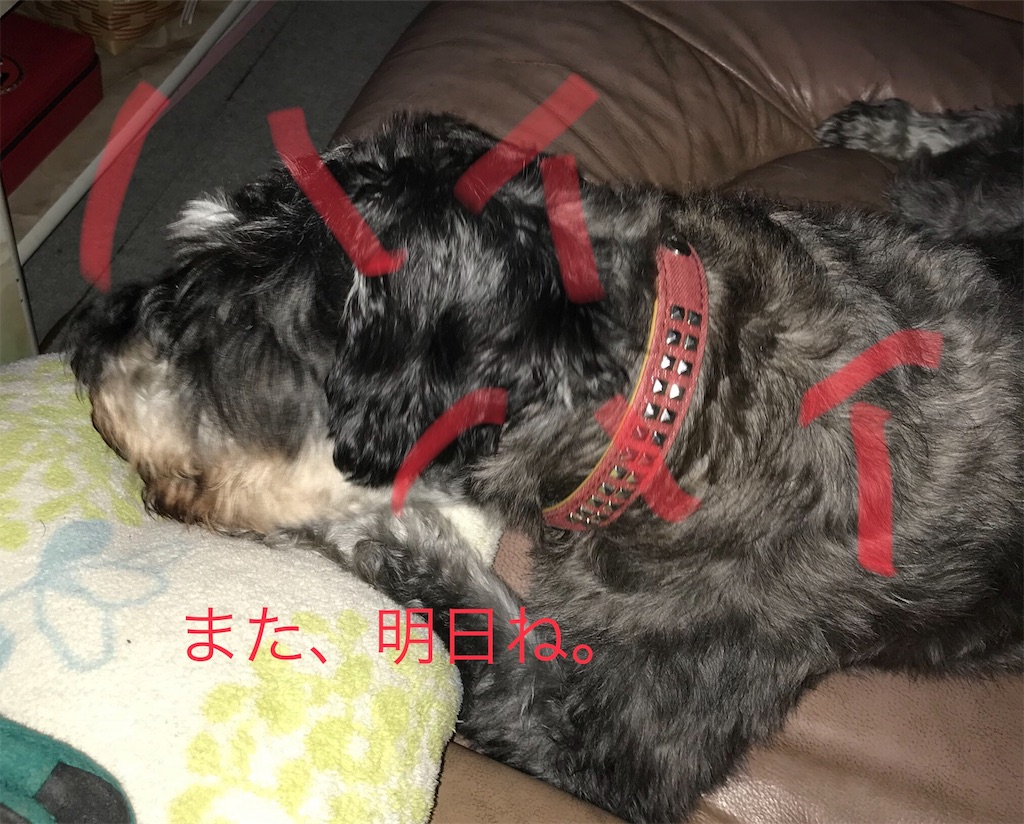 f:id:hukusuke39:20180920205835j:image