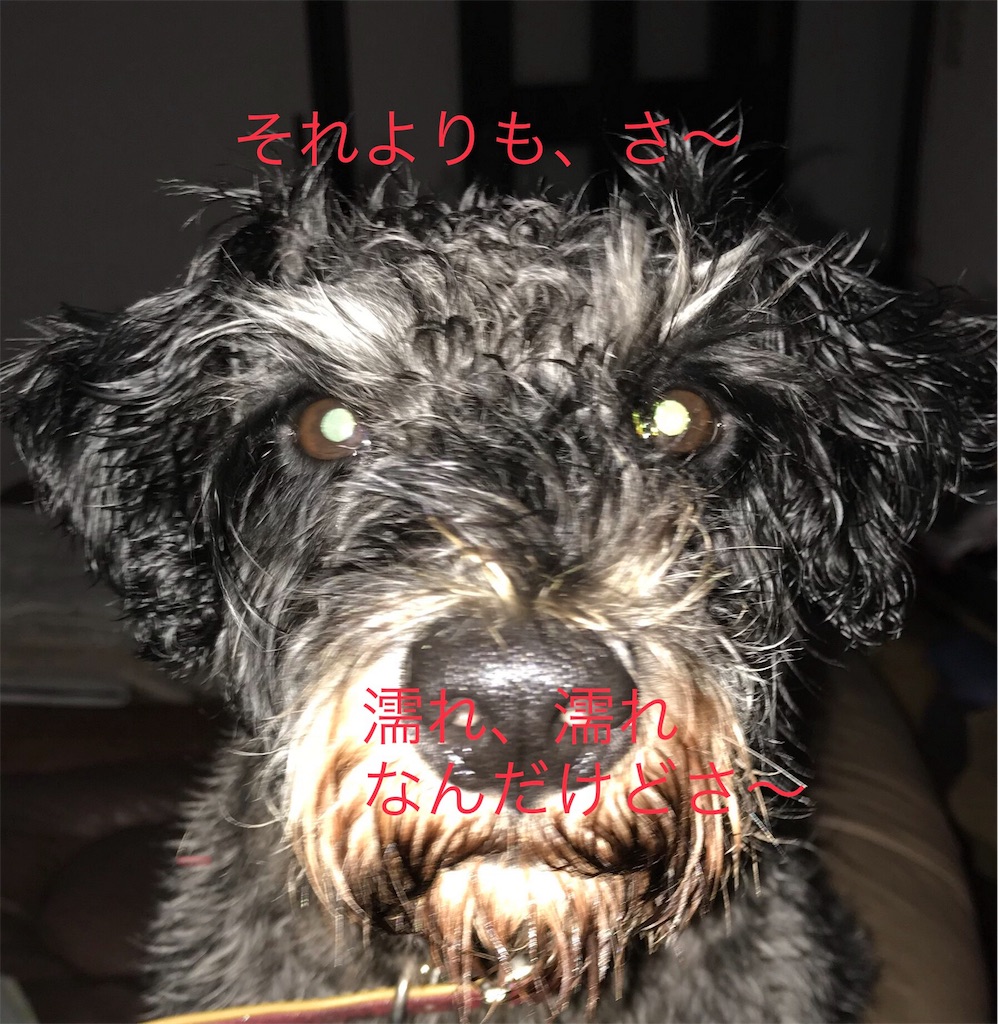 f:id:hukusuke39:20180921202331j:image f:id:hukusuke39:20180921202331j:image