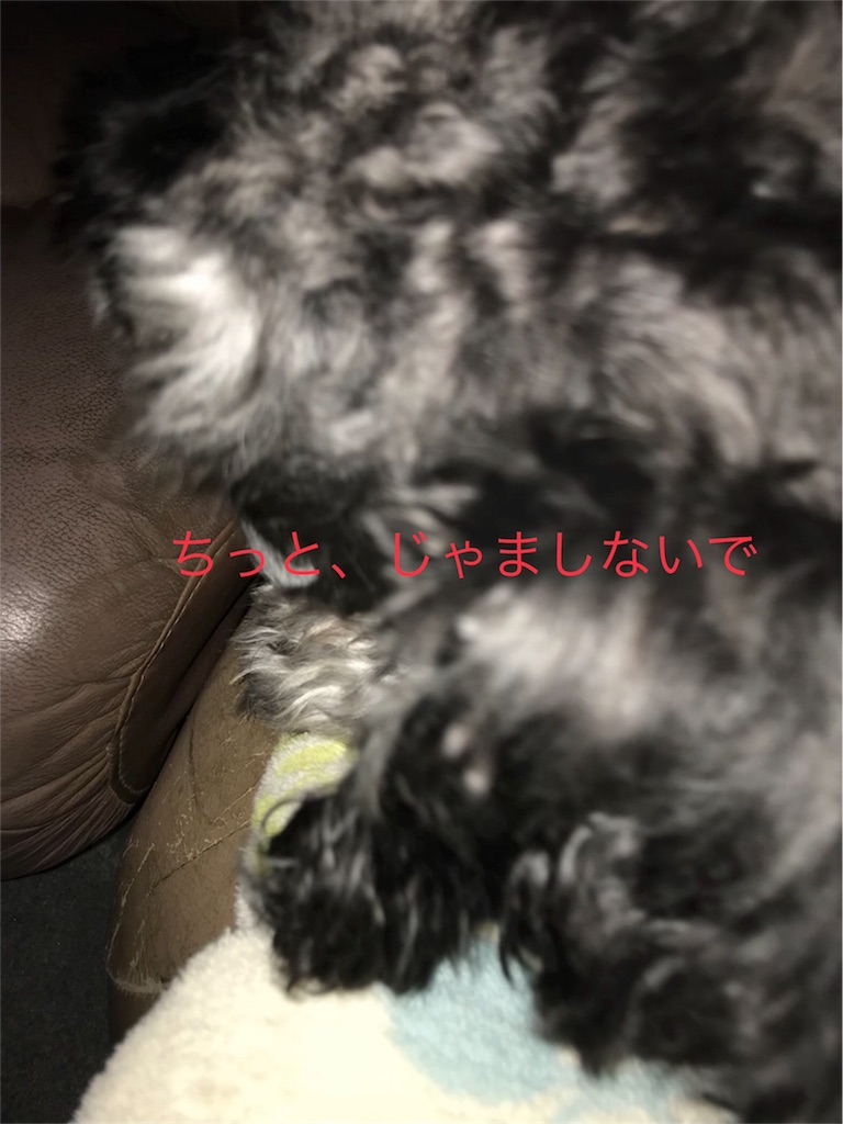 f:id:hukusuke39:20180925193659j:image