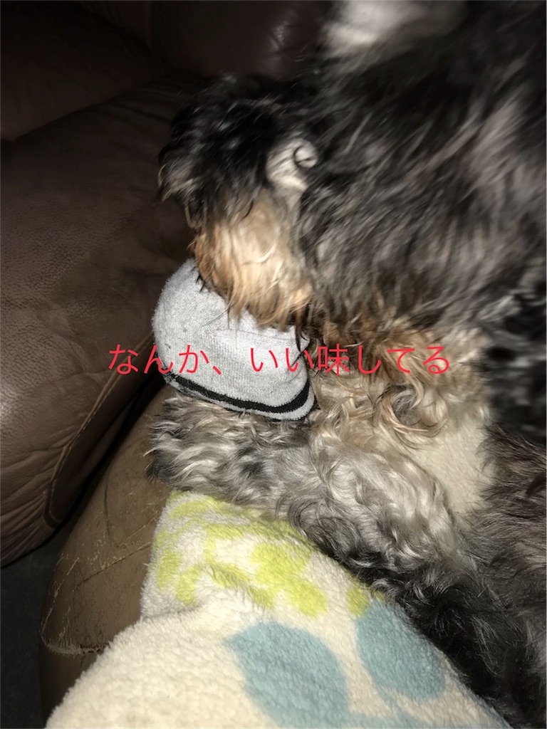 f:id:hukusuke39:20180925193737j:image