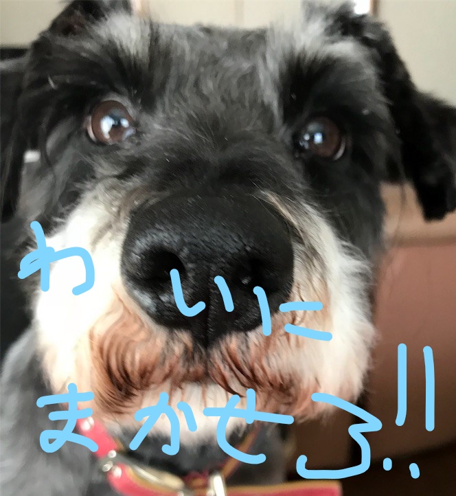 f:id:hukusuke39:20180927094108j:plain f:id:hukusuke39:20180927094108j:plain