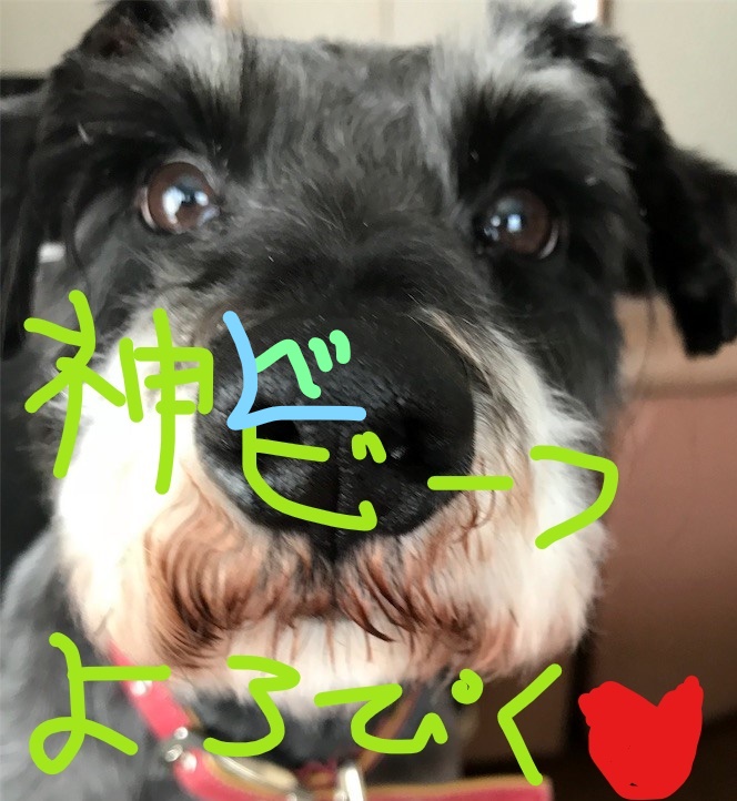 f:id:hukusuke39:20180929112509j:plain