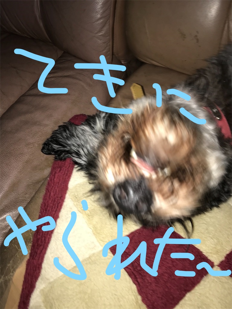 f:id:hukusuke39:20181001083856j:plain