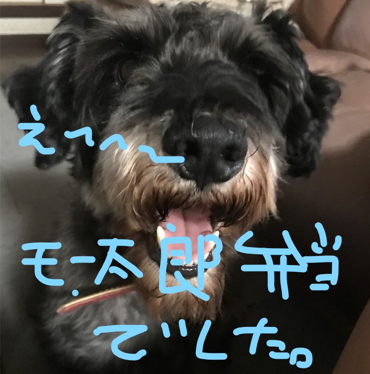f:id:hukusuke39:20181002140526j:plain f:id:hukusuke39:20181002140526j:plain