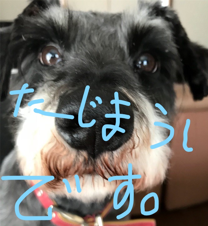 f:id:hukusuke39:20181002143702j:plain