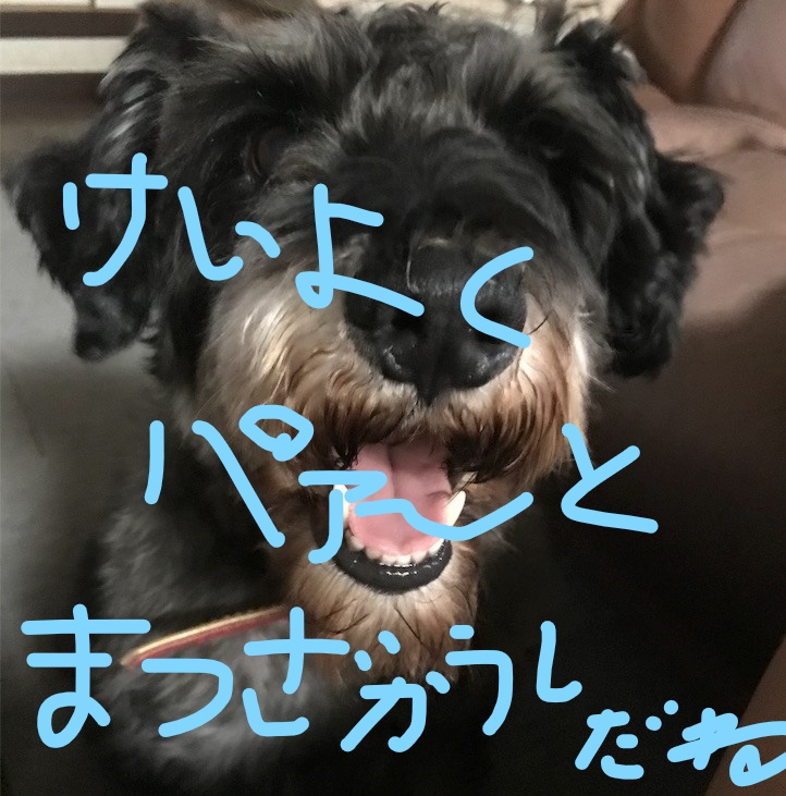 f:id:hukusuke39:20181003094010j:plain f:id:hukusuke39:20181003094010j:plain