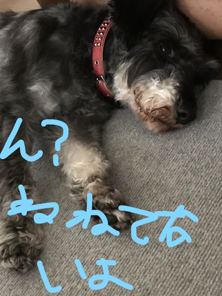 f:id:hukusuke39:20181004103457j:plain