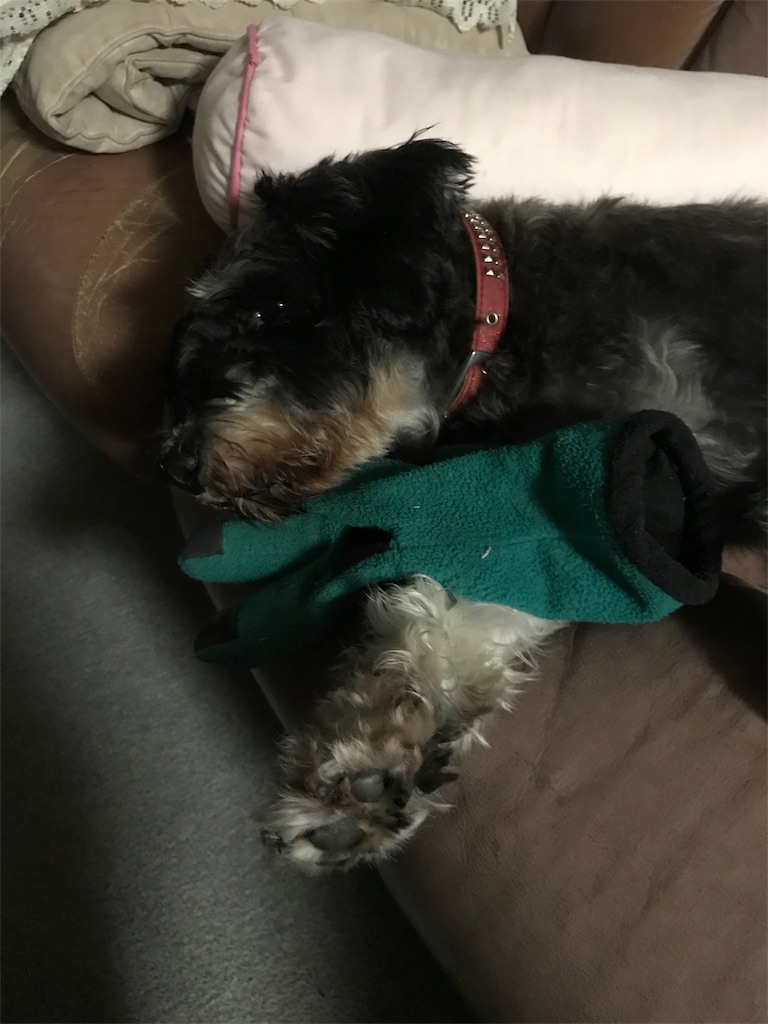 f:id:hukusuke39:20181005053238j:plain