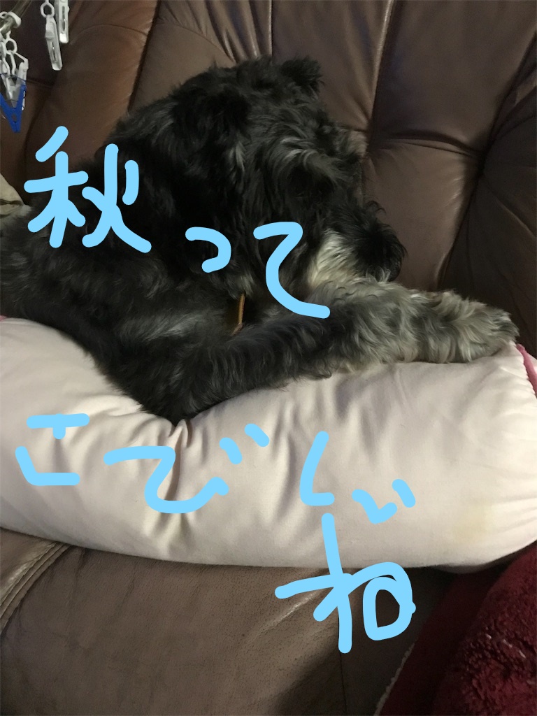 f:id:hukusuke39:20181005090230j:plain