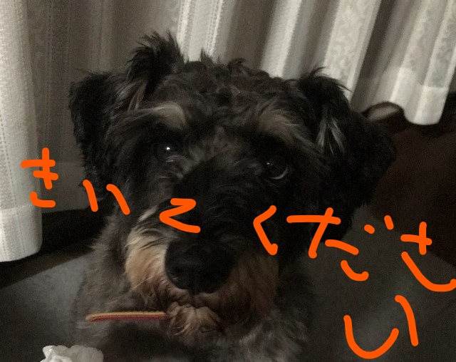 f:id:hukusuke39:20181005090647j:plain
