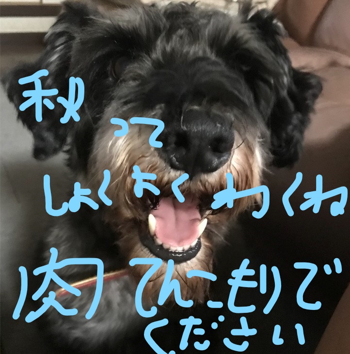 f:id:hukusuke39:20181005090911j:plain