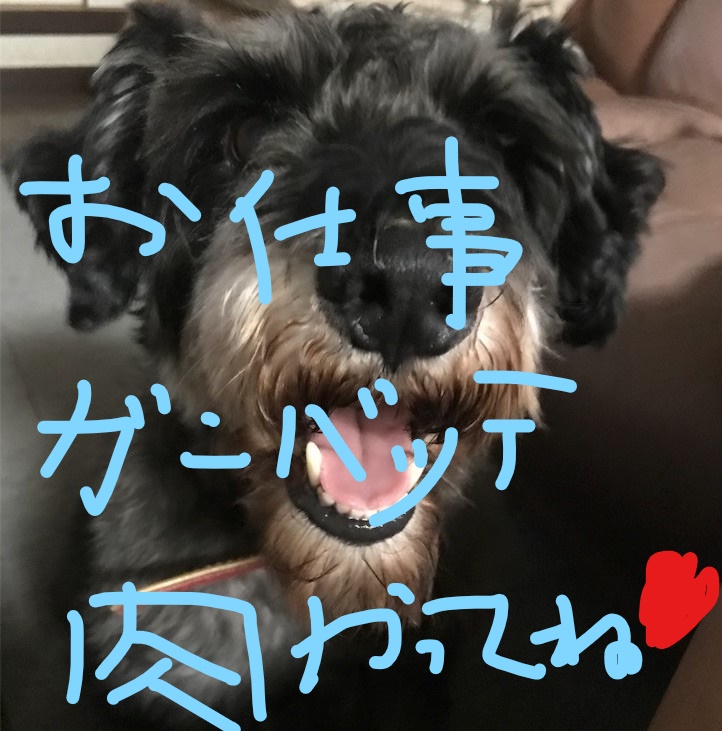 f:id:hukusuke39:20181005104404j:plain