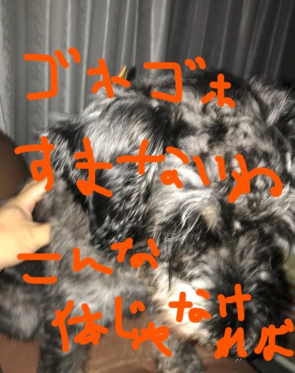 f:id:hukusuke39:20181005110932j:plain f:id:hukusuke39:20181005110932j:plain