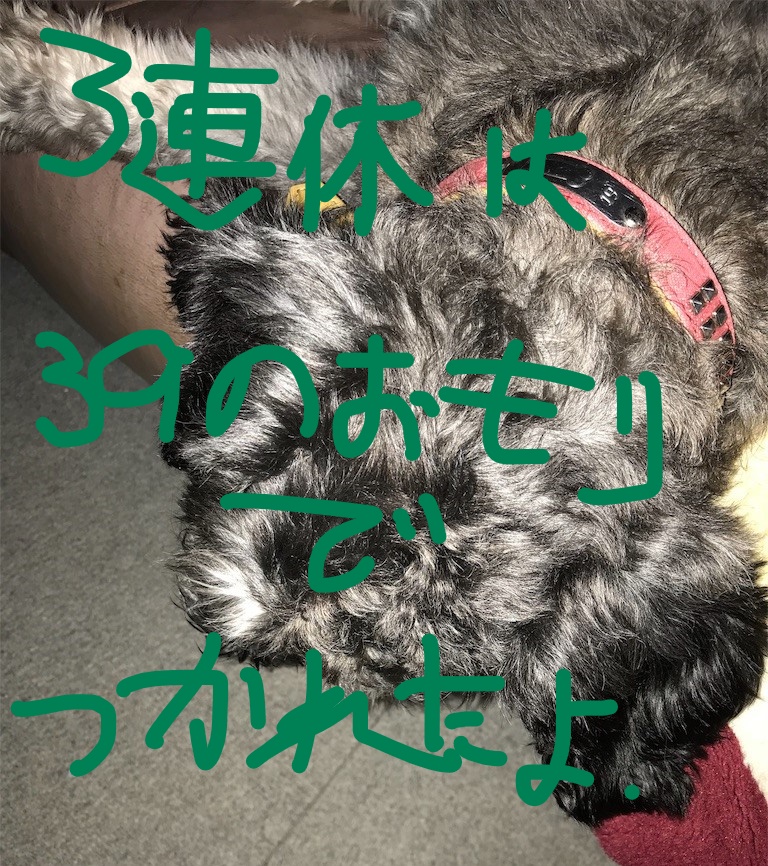 f:id:hukusuke39:20181009085604j:plain