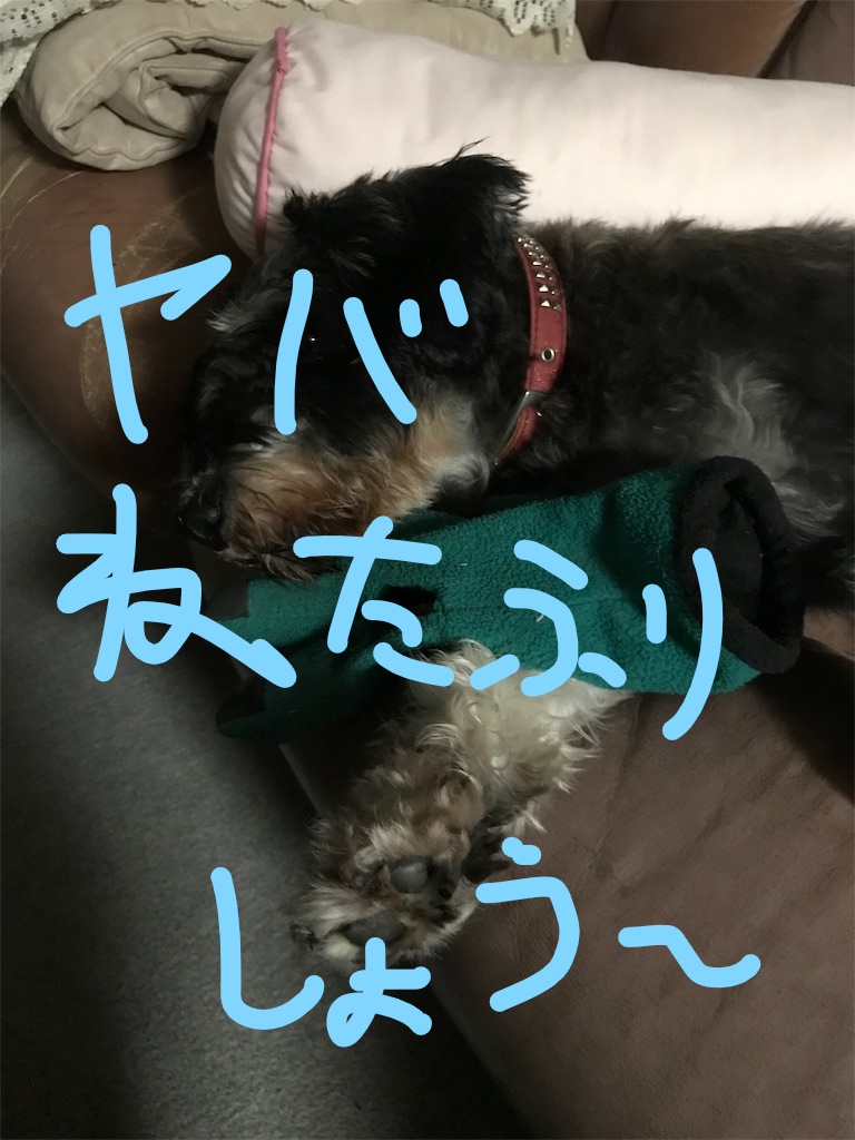 f:id:hukusuke39:20181009090456j:plain