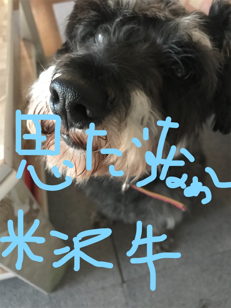 f:id:hukusuke39:20181009125918j:plain f:id:hukusuke39:20181009125918j:plain